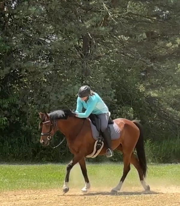 Photo from Karen Schmitt's review