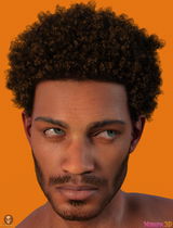 hugo leonardo pereira da silva review photo