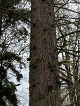 Winter review photo