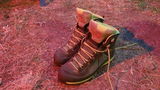 Drew Wylie review photo