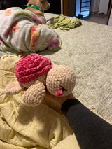 Etsy customer review photo