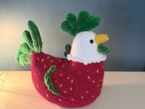 Etsy customer review photo