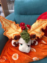 Etsy customer review photo