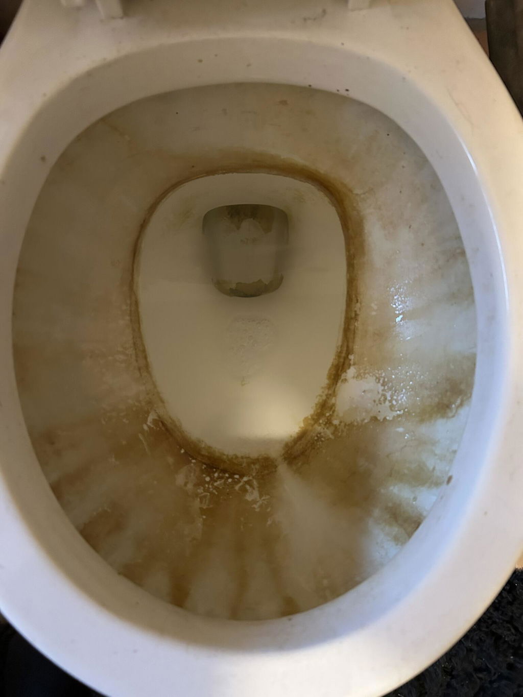Customer-submitted photo before toilet cleaning