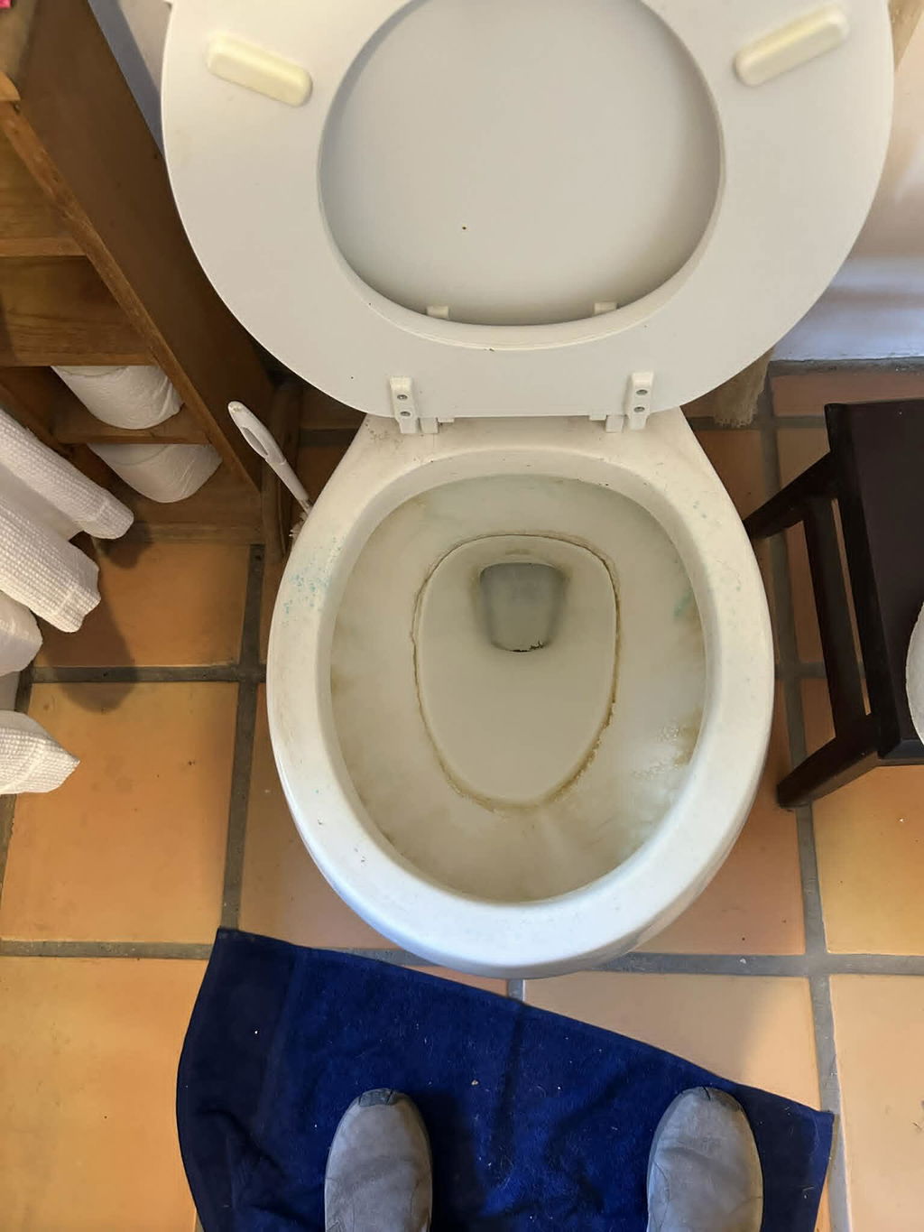 Customer-submitted result after toilet cleaning
