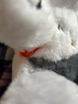 J.N. review photo