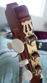 Ray G. review photo