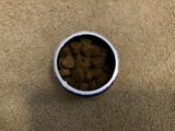 Travels With Dogs review photo
