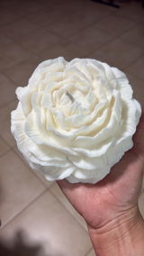 ורד אמויאל review photo