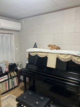 匿名 review photo