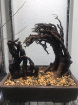匿名 review photo