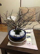 匿名 review photo