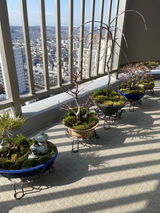 匿名 review photo
