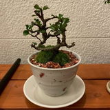 匿名 review photo