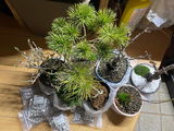 匿名 review photo