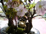 匿名 review photo