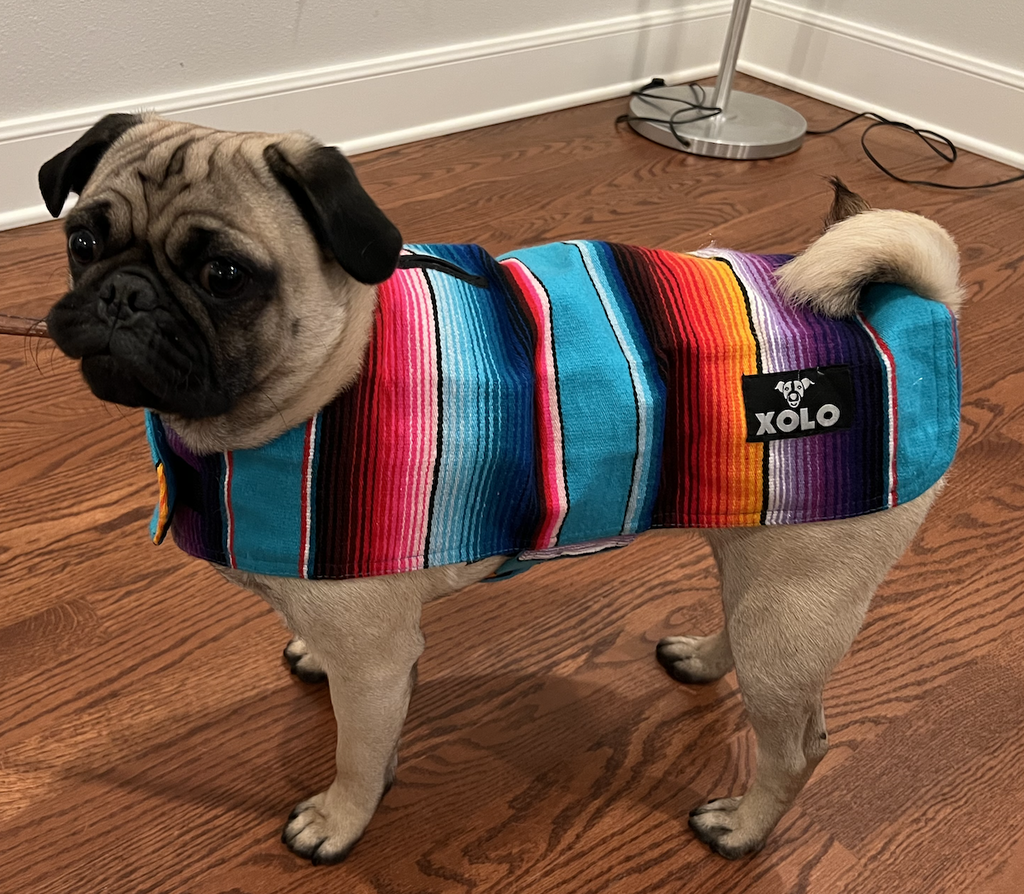 BLUE SARAPE DOG JACKET
