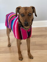 Linda review photo
