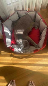 Fatma E. review photo