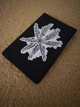Phoenix Downer review photo
