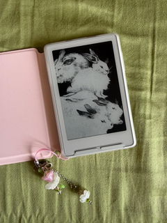 XTEINK X3 ポケット電子書籍リーダー