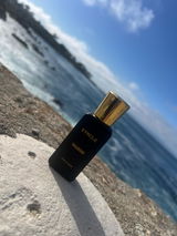 Rendi review photo