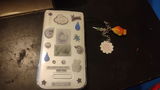 Bunny review photo