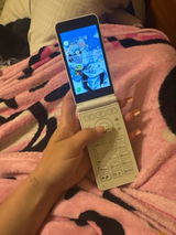 Livvy review photo