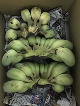 修 橋本 review photo