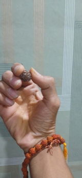 Hemang Trivedi review photo