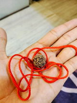 Yagnik Thumbar review photo