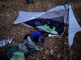 Josh W. review photo