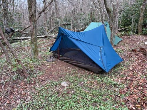 1P Swiftline pitched in a leafy forest