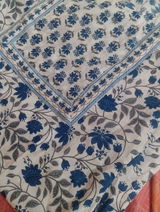 Prachi review photo