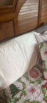 Janet Toland review photo