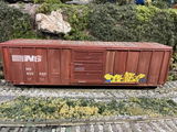 Nick Lombardi review photo