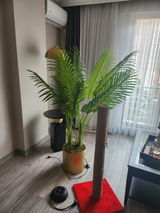 Saniye Karakol review photo