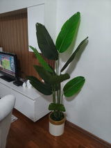 Esra review photo