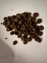 n*****9 review photo