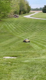 Joe South review photo