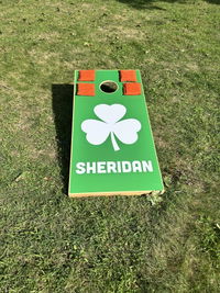 Customized Shamrock Cornhole Boards