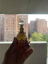 C.P. review photo