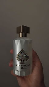 Diego Cerpa Navia review photo