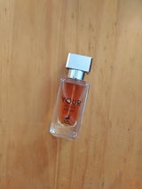 Ignacio Montiel castillo review photo