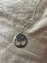Allan review photo