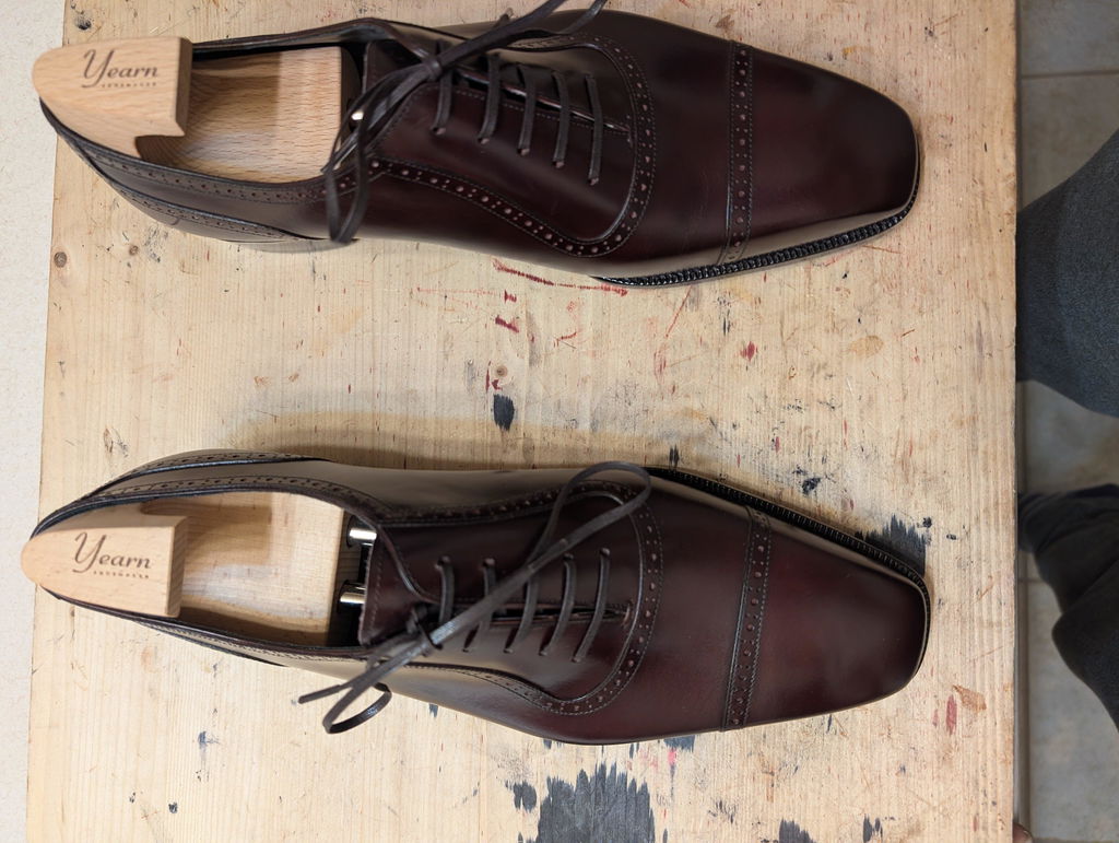Lasted Shoe Trees