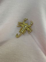 Caro review photo
