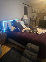 Anonymous review photo