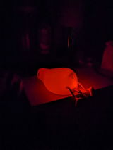 LS review photo