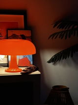 Lessy review photo